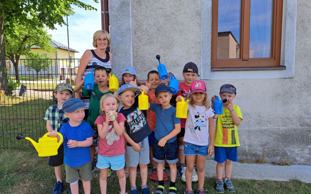 Nachhaltige Regenwassernutzung I