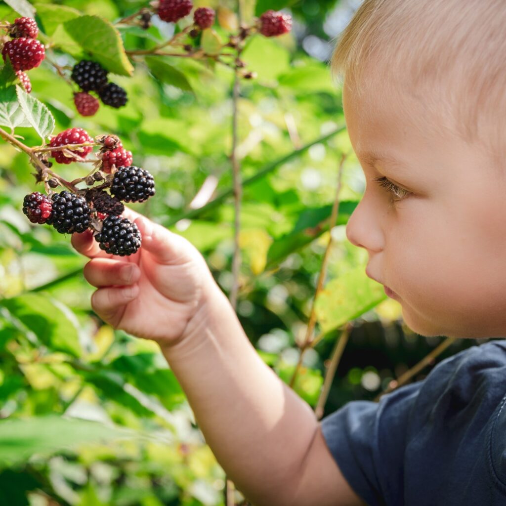Zurück zu den Wurzeln