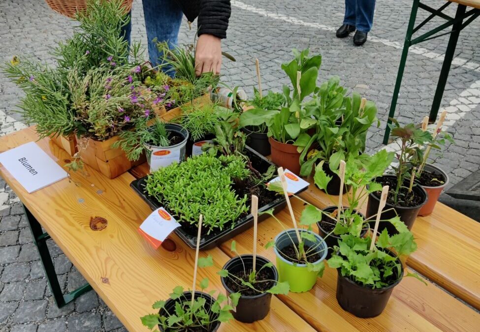Nachhaltige Regenwassernutzung II